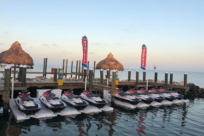 1.5 Hour (20 miles) Waverunner Tour. See Mangrove Tunnels, 20 Islands & SandBar - Which riders will enjoy this most