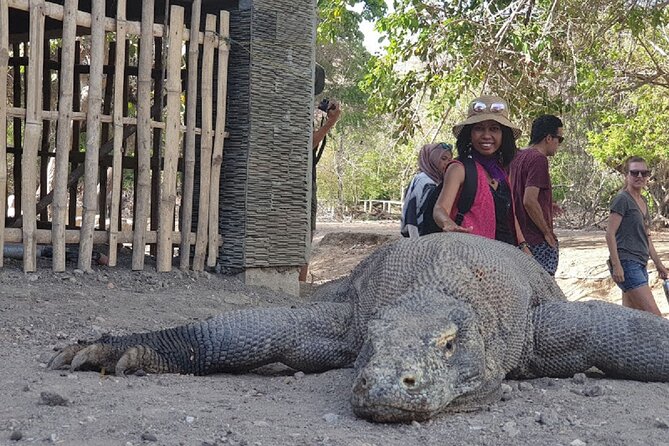 1- day Komodo Island Hopping Tour by Speed Boat departure From Labuan bajo - Kanawa Island, your final island stop