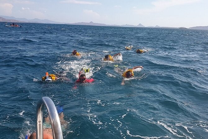 1- day Komodo Island Hopping Tour by Speed Boat departure From Labuan bajo - What the $117 price really covers