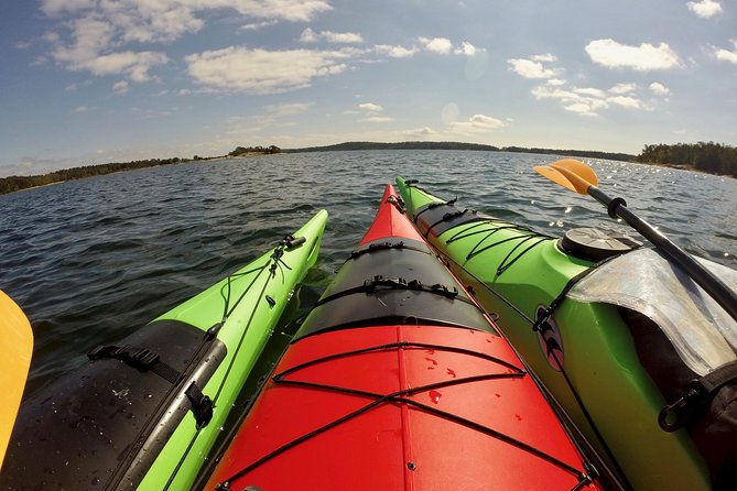 1-Day Small-Group Stockholm Archipelago Kayak Tour - What the $223.82 price includes