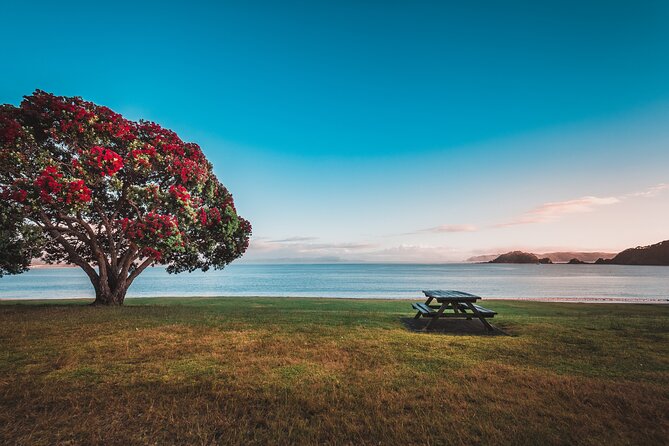 1 Hour Scenic Bay of Islands Tour - Is $31.03 good value for one hour?