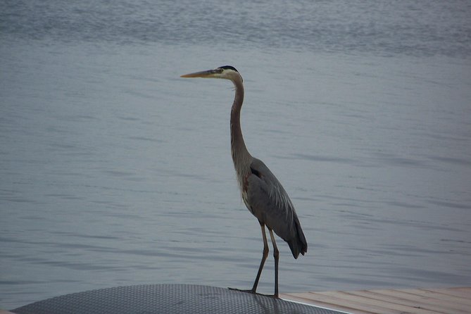 1000 Islands Canada (No passports required, Departing from the US - Is the $28 Price Good Value?