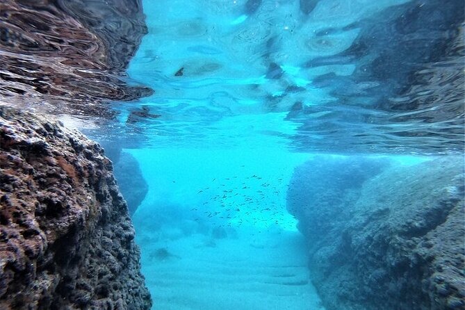 2 hours Elafiti Islands Private Tour by Barracuda 545 - Weather, cancellation, and what to bring
