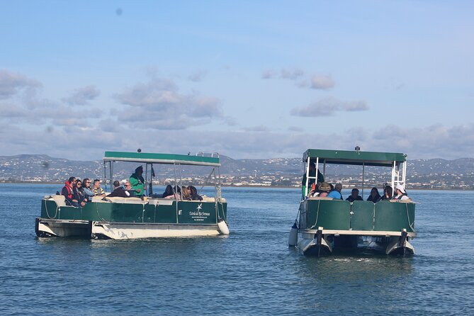 2 Stop | 2 Islands & Ria Formosa Natural Park - From Faro - Is $42.33 a fair price?