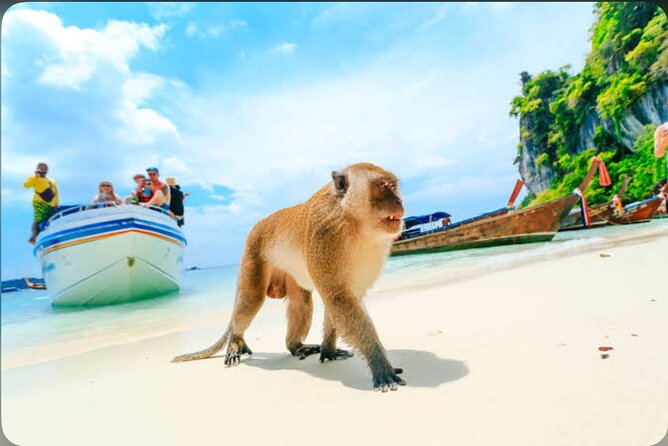 2x Snorkelling Phi Phi, Maiton, Maya Bay, khai islands tour - Pileh Bay and its green limestone lagoon