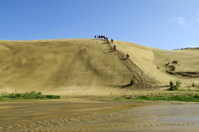 3 Day Bay Of Islands Tour from Auckland including Waitangi and Cape Reinga - Cape Reinga, Puketi Forest and Ninety Mile Beach