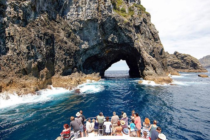 3 Day Bay Of Islands Tour from Auckland including Waitangi and Cape Reinga - Auckland to Paihia: a long first day
