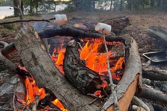 3-Day Kayak Tour in the Stockholm Archipelago - Choosing a campsite under Sweden’s freedom to roam