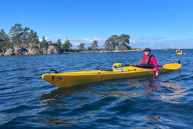 3-Day Kayak Tour in the Stockholm Archipelago - Meeting your guide and learning the kayak