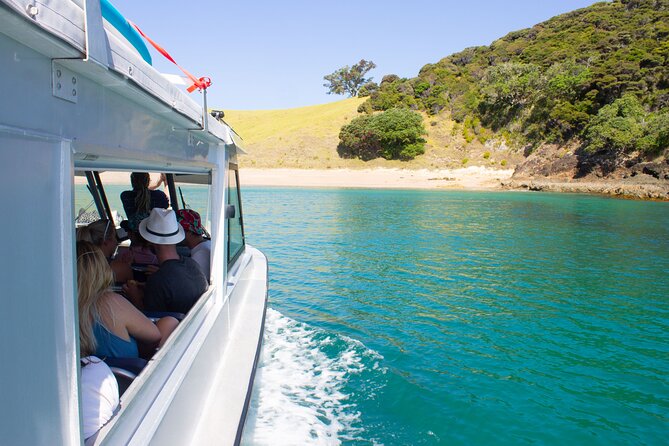 3 Hours // Hole in the Rock Cruise & Bay of Islands Tour - Wildlife sightings and onboard commentary