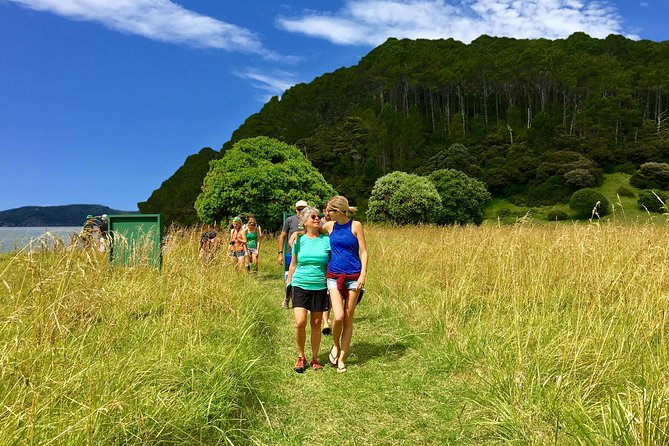 3 Hours // Hole in the Rock Cruise & Bay of Islands Tour - Is $89.98 good value?
