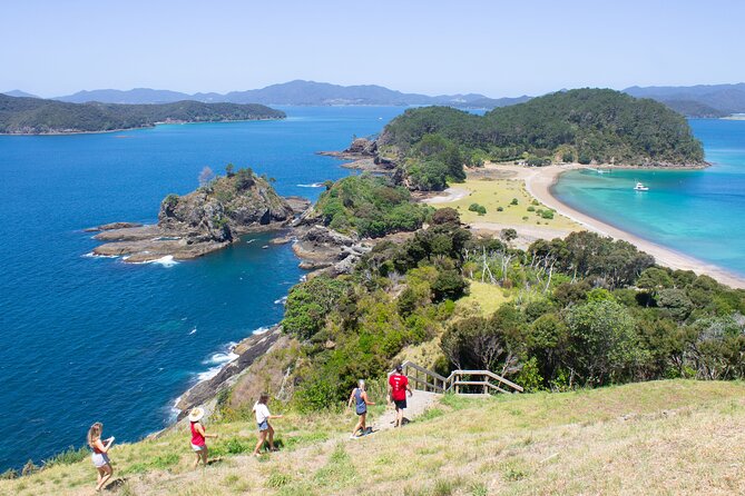 3 Hours // Hole in the Rock Cruise & Bay of Islands Tour - Who should book this boat trip?