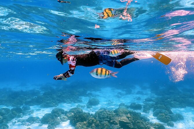 3-Island Speedboat Tour: Racha Noi, Racha Yai & Maiton - Maiton Island and the final change of pace