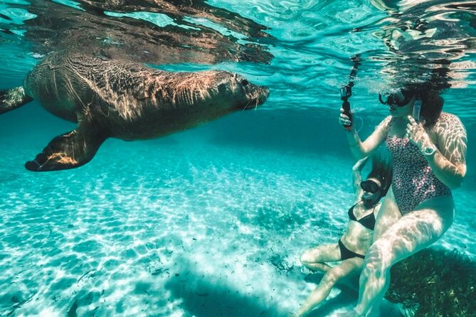 3 Island Wildlife Snorkel - Key points at a glance