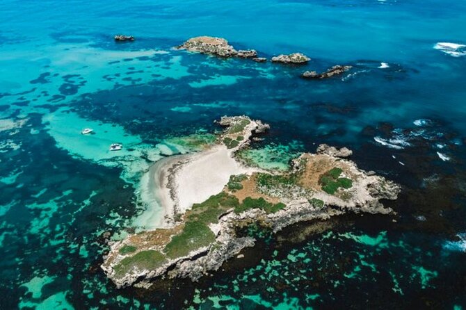 3 Island Wildlife Snorkel - Starting at 8:00 am with a small crew