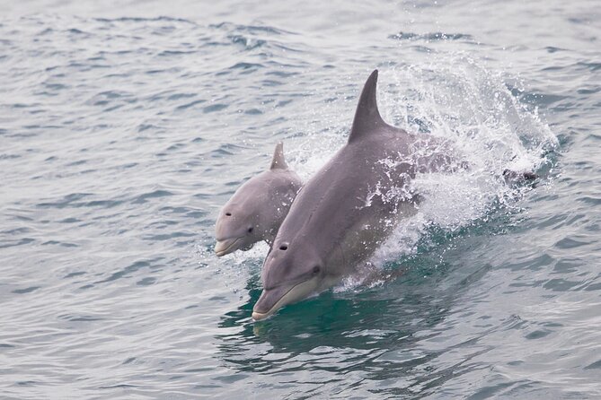 3 Island Wildlife Snorkel - Lunch and upper-deck time between water stops