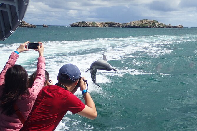 3 Island Wildlife Snorkel - Who will get the most from this trip