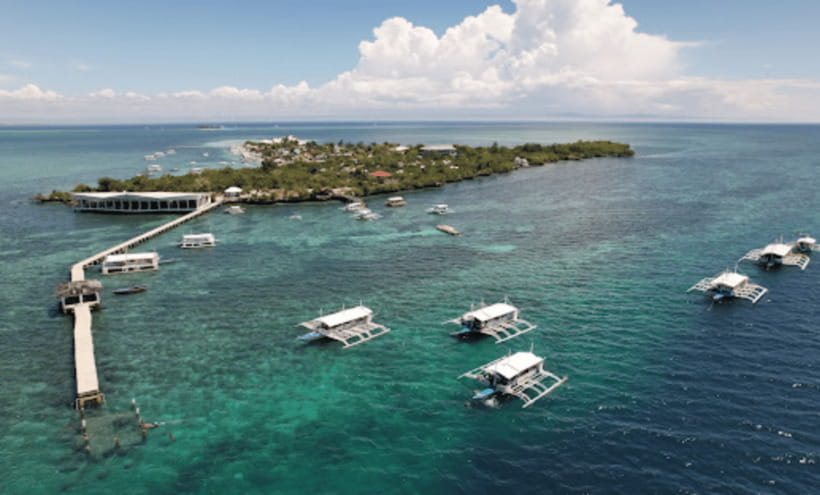 3 Islands Hopping at Gilutungan, Caohagan, Nalusuan + Lunch - Gilutungan: the strongest stop for snorkeling