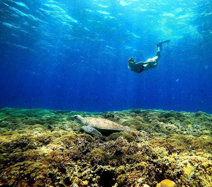 3 islands snorkeling & turtle sanctuary Gopro included - Gili Air: fish gardens and a short lunch break