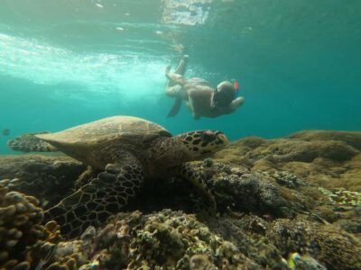 3 Islands Snorkeling with Glass Bottom Boat & GOPRO SHOOT