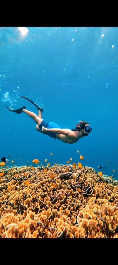 3 Islands Snorkeling with Glass Bottom Boat & GOPRO SHOOT - Crowds, Currents, and Comfort