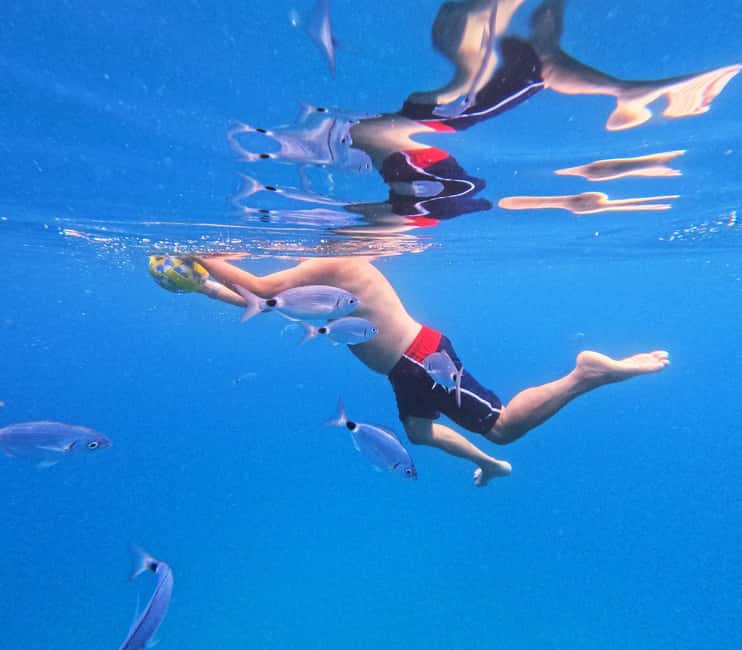 3 Islands Speedboat Tour: Golden Horn, Blue Lagoon & Jelsa - How to make the day run smoothly