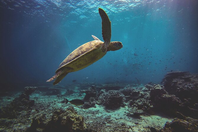 3 Semporna Islands Tour with Snorkel or Diving Experience - Pandanan Bay: the quiet final stop