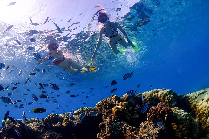 3 Semporna Islands Tour with Snorkel or Diving Experience - Mataking: lunch, beach time, and clear water