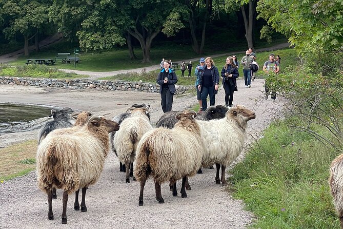 4 Hours Island Hopping Tour in Oslo - Gressholmen adds birds and an island pub