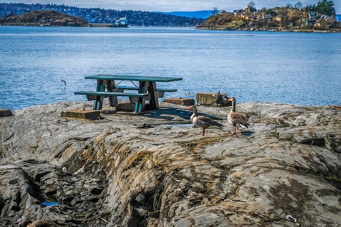 4 Hours Island Hopping Tour in Oslo - The small booking detail you should not ignore
