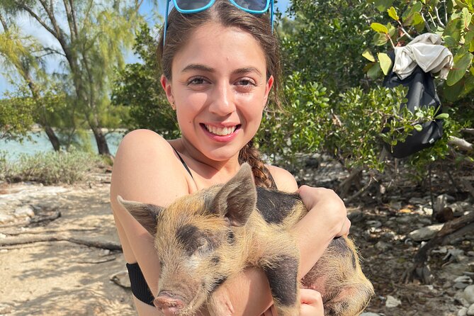 4-Island Tour Swimming Pigs, turtles, snorkeling , rose island, - Meeting the boat near Colours of The Bahamas