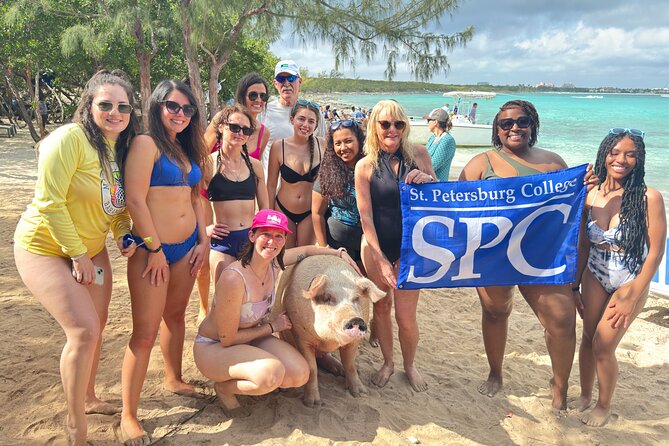 4-Island Tour Swimming Pigs, turtles, snorkeling , rose island, - Snorkeling near Rose Island or Pearl Island