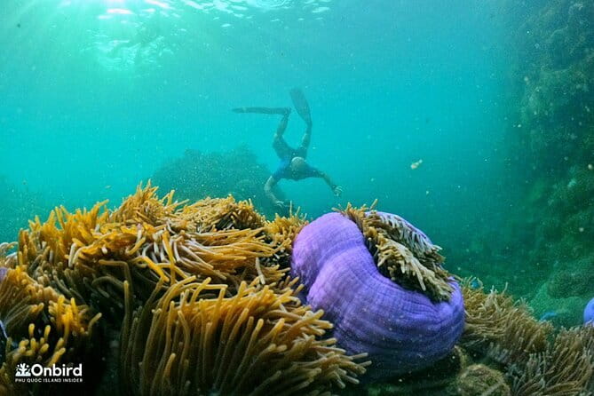 4 Islands & 2 Reefs - Discovery Snorkeling & Relaxing (MAX 12) - Key points to know before booking