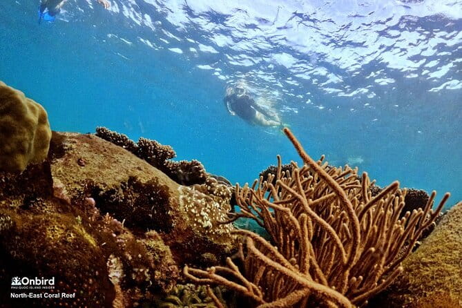 4 Islands & 2 Reefs - Discovery Snorkeling & Relaxing (MAX 12) - The beach break and what to pack for food