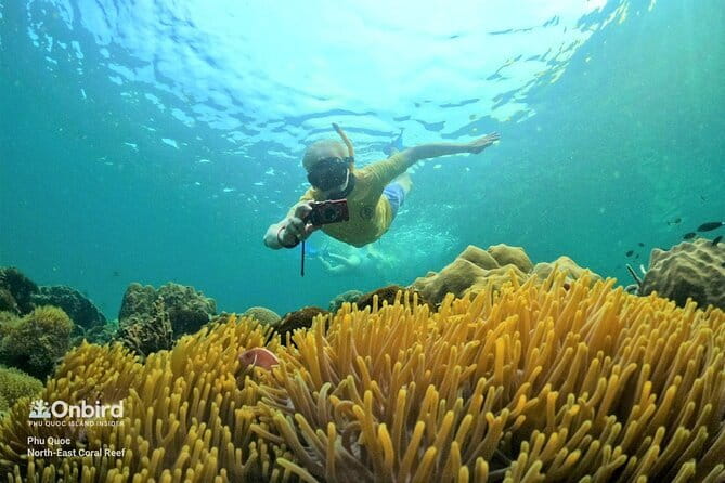 4 Islands & 2 Reefs - Discovery Snorkeling & Relaxing (MAX 12) - Equipment for beginners and regular snorkelers