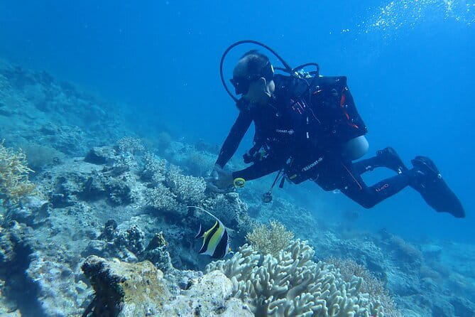 4 Islands & 2 Reefs - Discovery Snorkeling & Relaxing (MAX 12) - Is $52.04 a fair price?