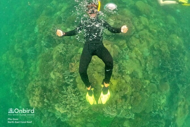 4 Islands & 2 Reefs - Discovery Snorkeling & Relaxing (MAX 12) - Getting from Duong Dong to the harbor
