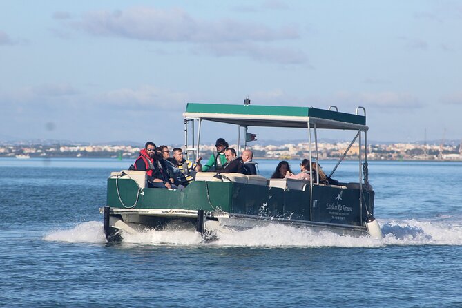 4 Stops | 3 Islands & Ria Formosa Natural Park - From Faro - Oyster beds, shellfish, and the tidal park