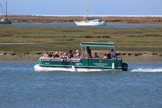4 Stops | 3 Islands & Ria Formosa Natural Park - From Faro - Birds and wildlife from a low boat
