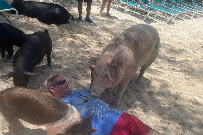 4hr Private Tour Island Hop Snorkel w/ Turtles & Sip Bahama Mamas - Green Cay, where the turtles take over