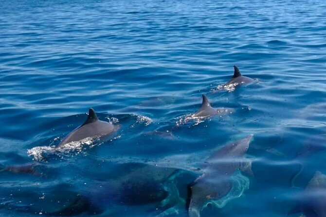 5 island tour all inclusive with Ile aux cerfs and snorkeling - A fast start from Trou d’Eau Douce