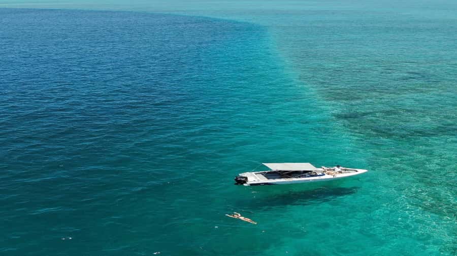 5 Islands All-Inclusive Speedboat w/Snorkeling Sea Turtle - Grand River South East and Its Waterfall