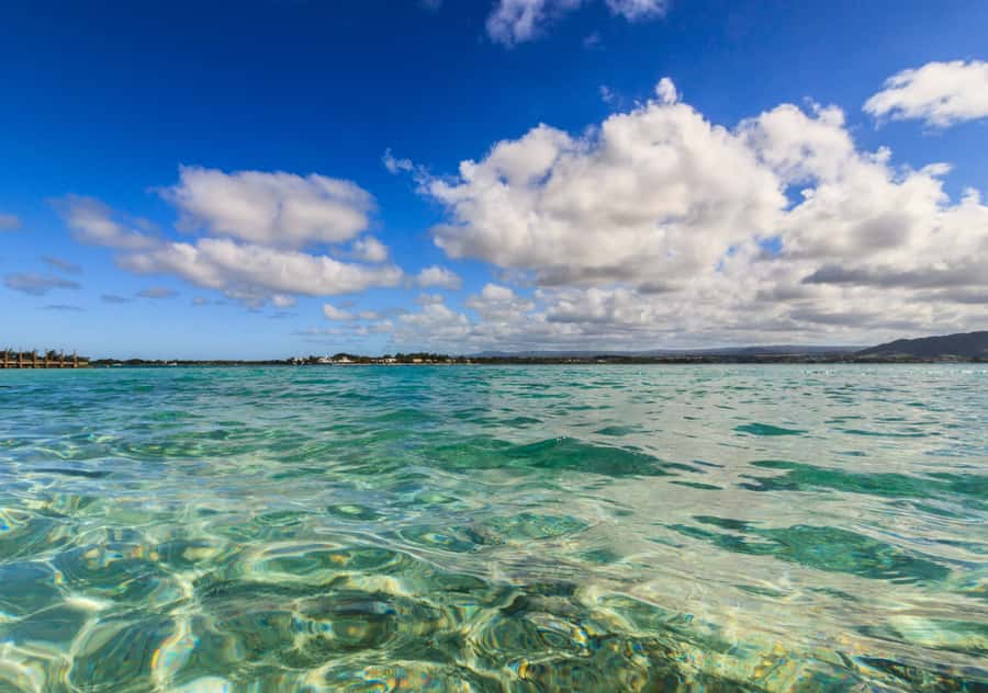 5 Islands Boat Trip, Snorkeling and Lunch on Ile aux Cerfs - Ile aux Aigrettes focuses on nature