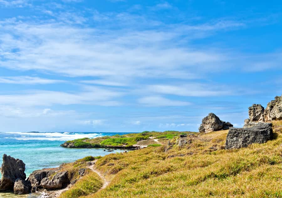 5 Islands Boat Trip, Snorkeling and Lunch on Ile aux Cerfs - What to pack for comfort and safety