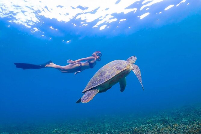 5 Islands Full-Day Tour Around Koh Tao and Koh Nangyuan - Hin Wong Bay and the east coast