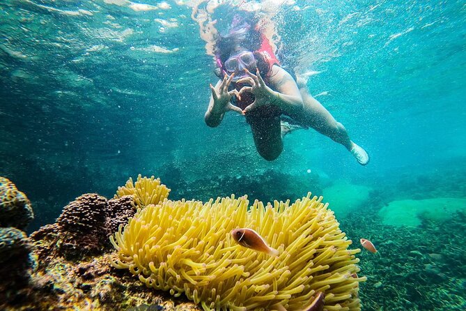 5 Islands Full-Day Tour Around Koh Tao and Koh Nangyuan - Shark Bay and the chance to see turtles