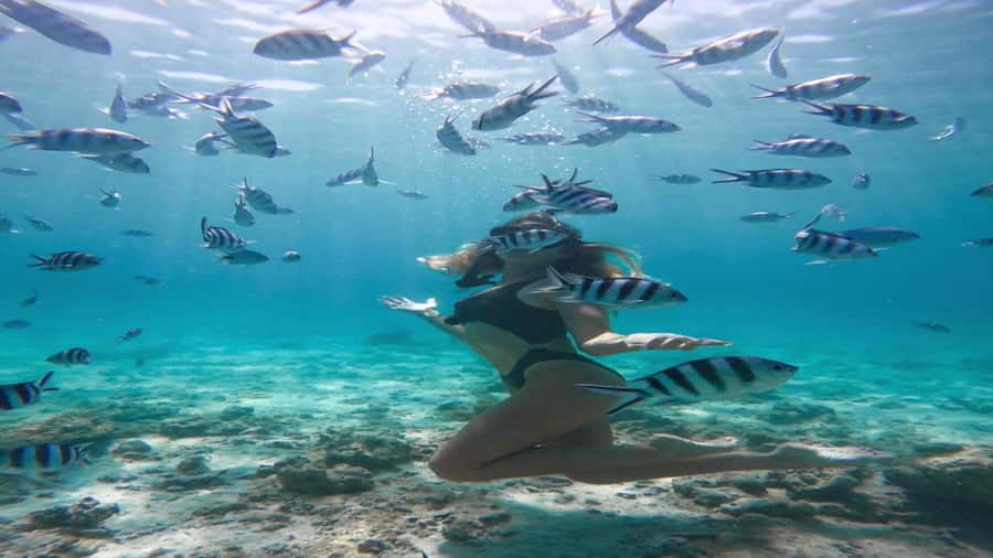 5 Islands Private Speedboat w/ Snorkeling + Lunch & Drinks - Blue Bay Marine Park is the day’s highlight