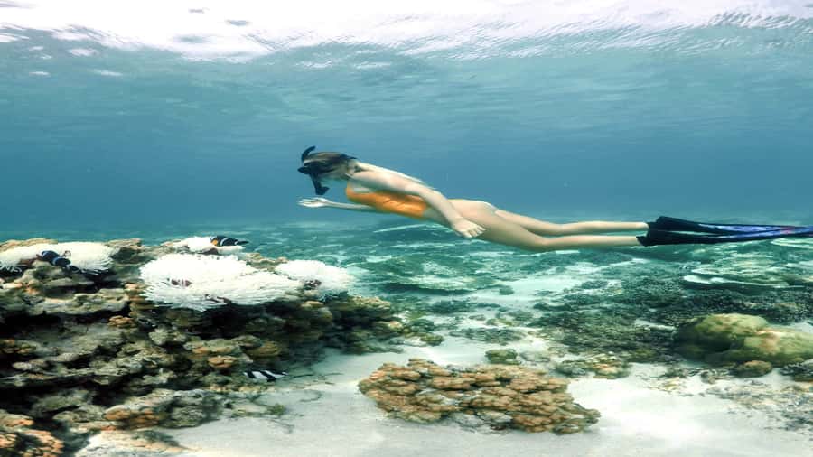 5 Islands Private Speedboat w/ Snorkeling + Lunch & Drinks - Who will enjoy this speedboat day?