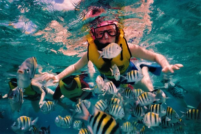 5 Islands Speedboat Cruise incl. Snorkeling in Blue Bay + Lunch at Ile aux Cerfs - Ile aux Aigrettes is a short refreshment pause