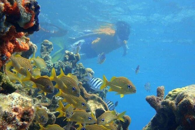 5 islands tour to rosario Islands with snorkeling activity! - What the $90 price really covers